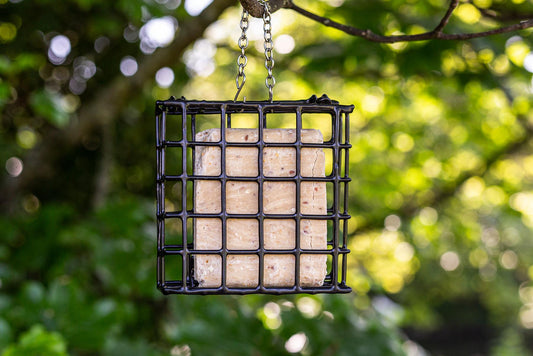 12 x Chubby High Energy Suet Cakes with Peanuts