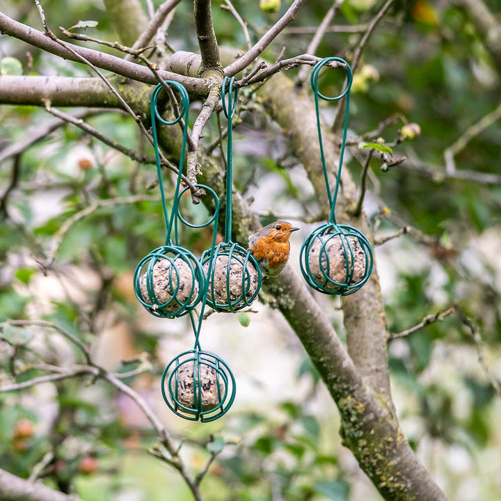 Lima Fat Ball Holder Scoop In Trees