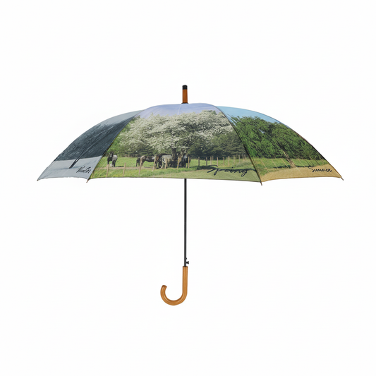 4 Seasons Umbrella Image 1