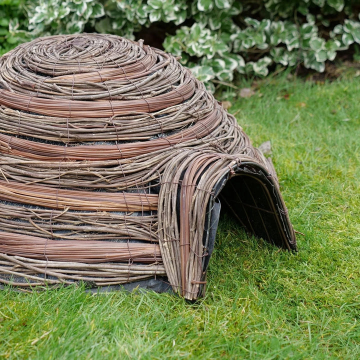 Hedgehog Home