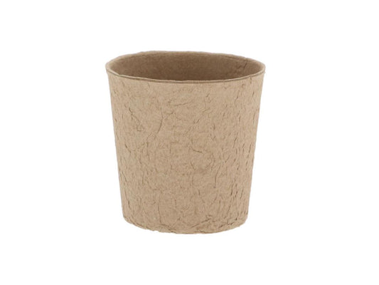 Fallen Fruits Biodegradable Round Fibre Grow Pot Tray Set of 12 - Clearance