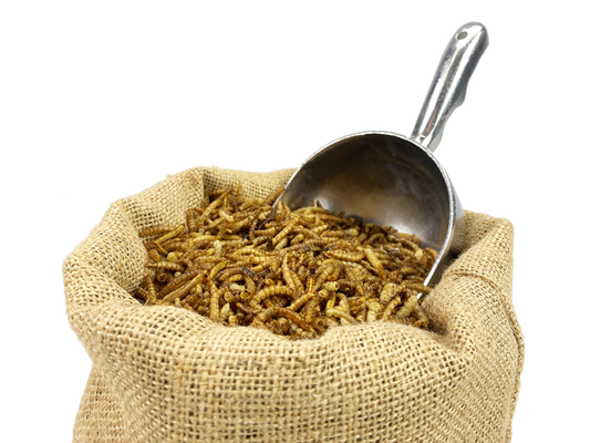 37.65Kg Dried Chubby Mealworms - 3 Bulk Bags