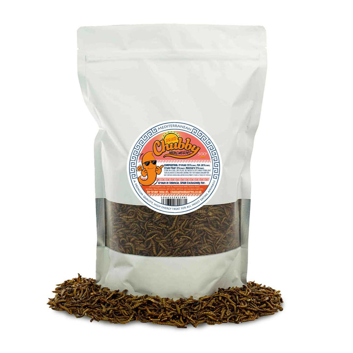 500g Spanish EU Grown Mealworms