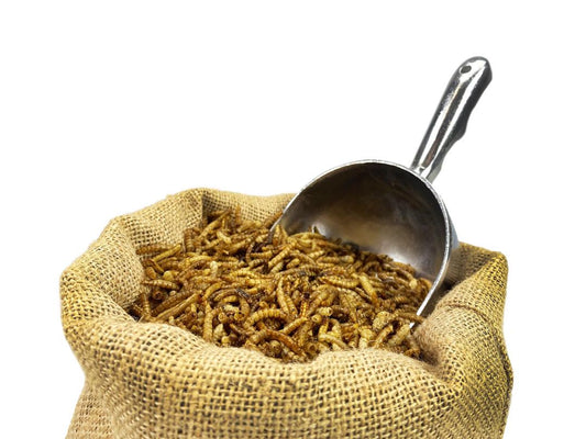 12.55Kg Bulk Bag Dried Mealworms