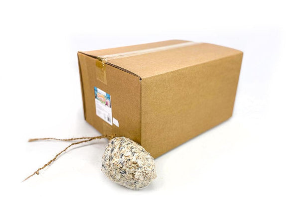 Box of 18 Chubby Mealworms Seed & Suet Pine Cones