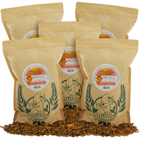 5Kg EU Grown Chubby Dried Mealworms
