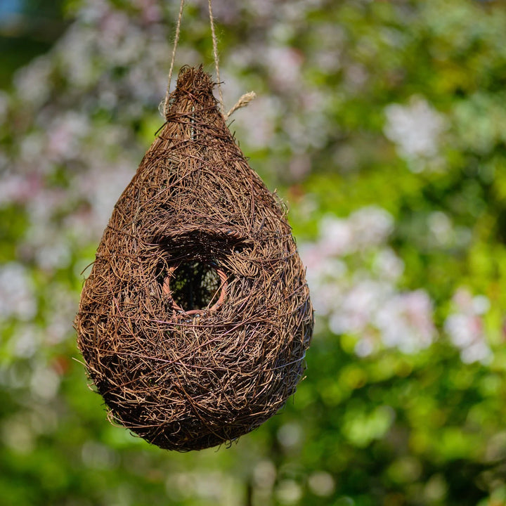 Close up of woven brushwood on giant roost nest pocket”
