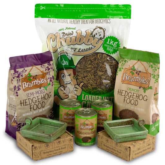 Hedgehog Happiness Bundle - Complete Mealtime Set
