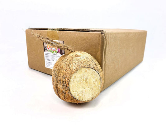 Box of 12 Chubby Whole Filled Coconut Wild Bird Food