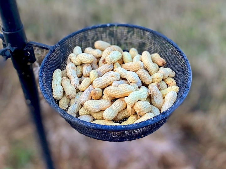Chubby Peanuts in Shells - Monkey Nuts 3 Litres