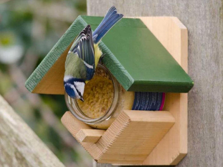 National Trust Wooden Peanut Butter Feeder with bird
