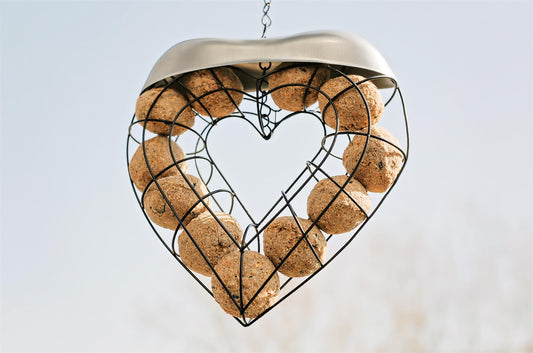 Chubby Love Nature Fat Ball Feeder