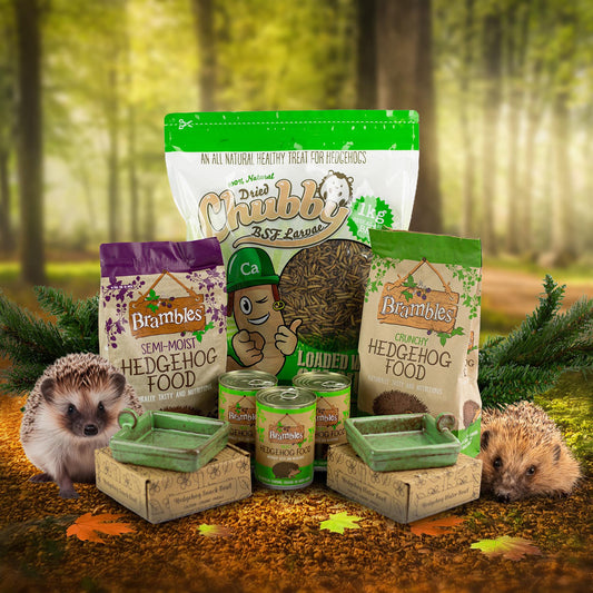 Hedgehog Happiness Bundle - Complete Mealtime Set