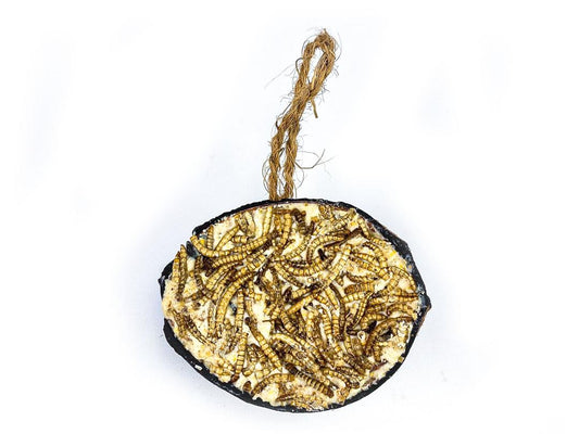 10 x Chubby Wild Bird Food Half Filled Coconut - Mealworm Topped