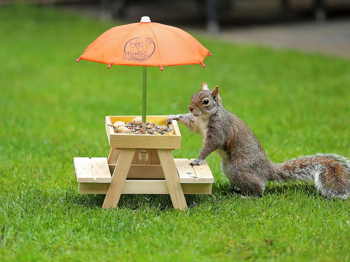 Chubby Peanuts in Shells - Monkey Nuts 3 Litres