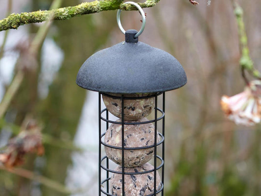 Gardman Black Steel Fat Snax Feeder