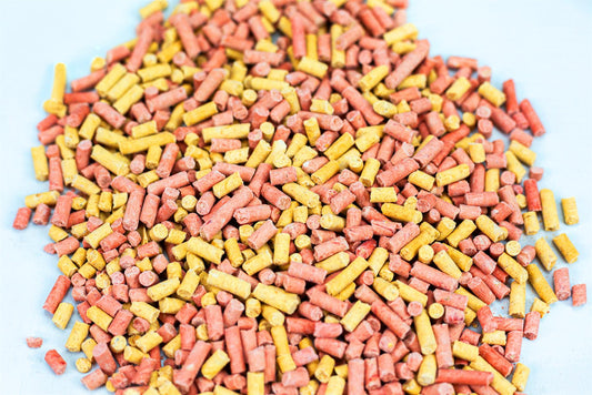 1Kg High-Energy Mixed Chubby Suet Pellets