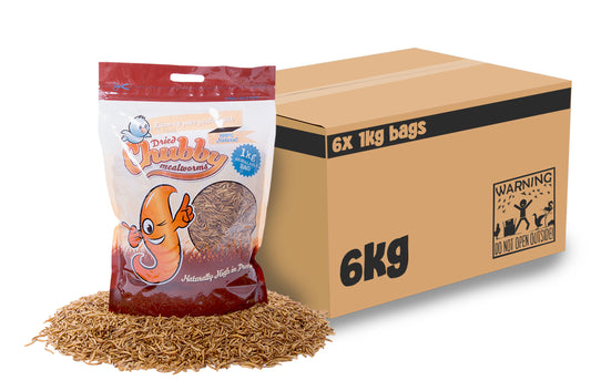 6Kg (6x 1kg resealable bags) Chubby Dried Mealworms High-quality, premium dried mealworms, sustainably farmed. Protein-rich food for, fish, and wild birds.