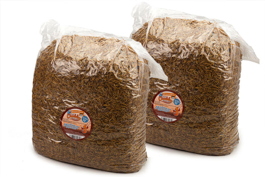 25.1Kg Dried Chubby Mealworms