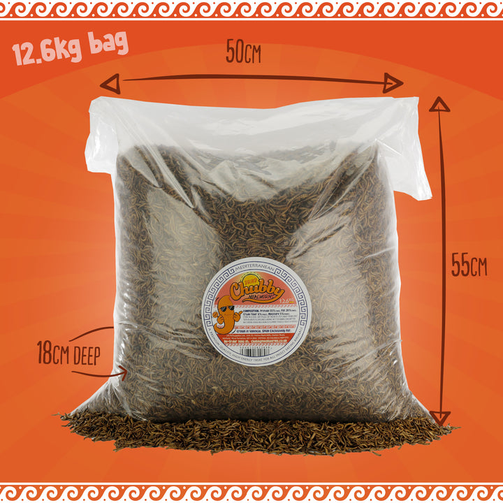 Trusted EU-grown dried mealworms, EU regulated. Protein-rich food for reptiles, fish, and backyard birds.
