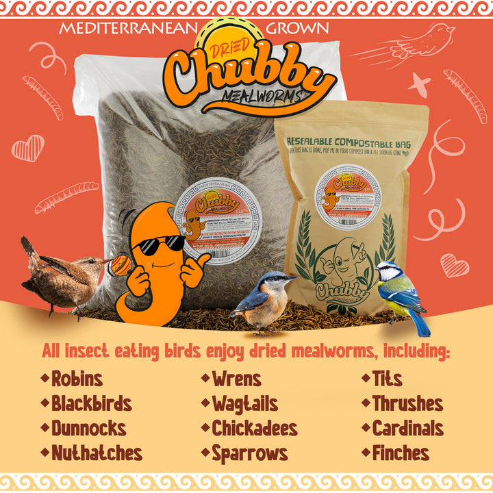 High-quality EU-grown dried mealworms, safe and sustainable. Protein-rich food for reptiles, fish, and backyard birds.