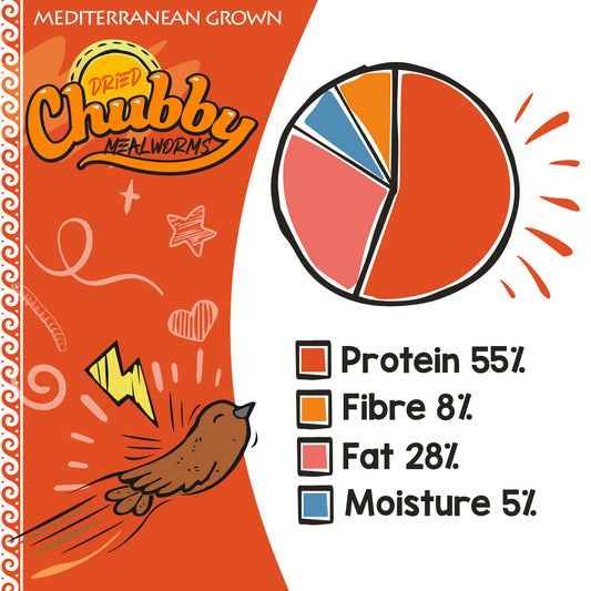Trusted EU-grown dried mealworms, EU regulated. Protein-rich food for reptiles, fish, and backyard birds.
