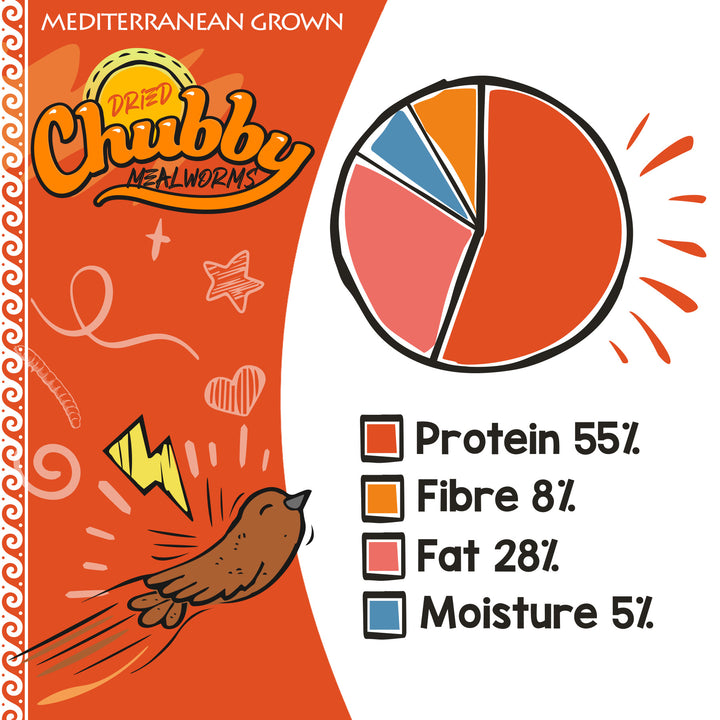 Trusted EU-grown dried mealworms, EU regulated. Protein-rich food for reptiles, fish, and backyard birds.