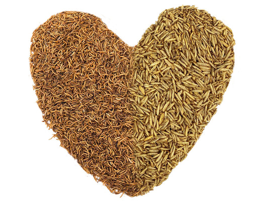 5Kg COMBO Dried Chubby Mealworms & BSFL+ Chubby Seed Heart