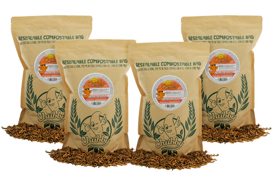 4Kg EU Grown Chubby Dried Mealworms Trusted EU-grown dried mealworms, EU regulated. Protein-rich food for wild birds and hedgehogs.