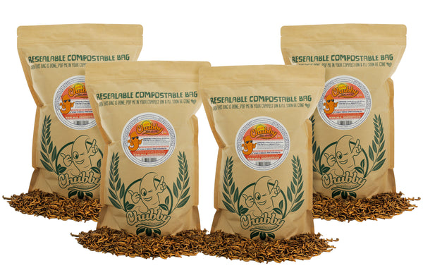 4Kg EU Grown Chubby Dried Mealworms Trusted EU-grown dried mealworms, EU regulated. Protein-rich food for wild birds and hedgehogs.