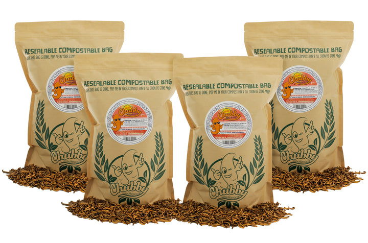 4Kg EU Grown Chubby Dried Mealworms Trusted EU-grown dried mealworms, EU regulated. Protein-rich food for wild birds and hedgehogs.