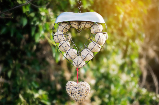 Loaded Chubby Love Nature Fat Ball Feeder & Seed Heart