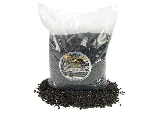 Chubby Premium Black Sunflower Seeds 5kg