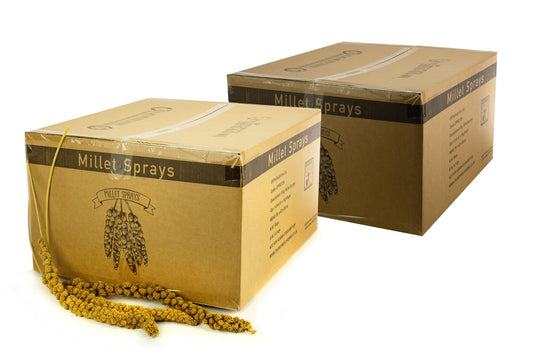 16Kg Chubby Millet Sprays For Birds