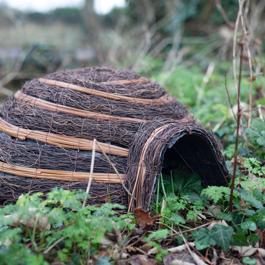 Front view of wicker igloo hedgehog house with entrance tunnel