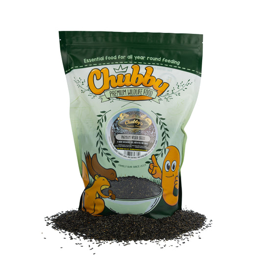 Chubby Nyjer Seed 2kg