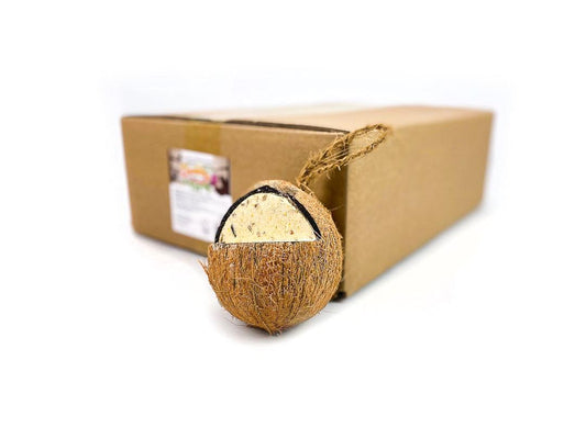 Pack of 12 Chubby Quarter Cut Filled Coconut
