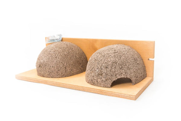 CJ Wildlife House Martin Nest Double