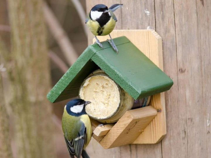 National Trust Wooden Peanut Butter Feeder with 2 birds