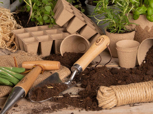 Fallen Fruits Biodegradable Fibre Grow Pot Tray Set of 3 - Clearance