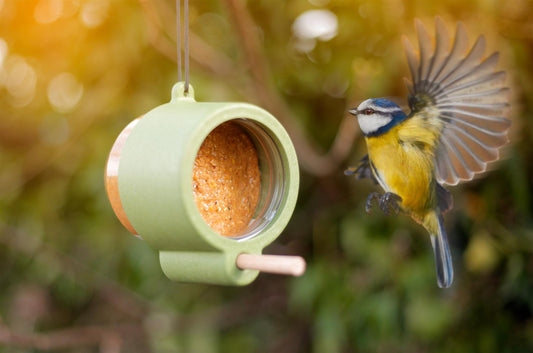Chubby Sustainable Bird Butter 350g - Peanut Flavour