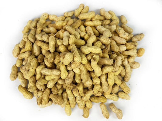 18Kg Chubby Peanuts in Shells - Money Nuts for Squirrels & Wild Birds