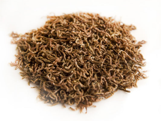 50g Freeze Dried Bloodworm