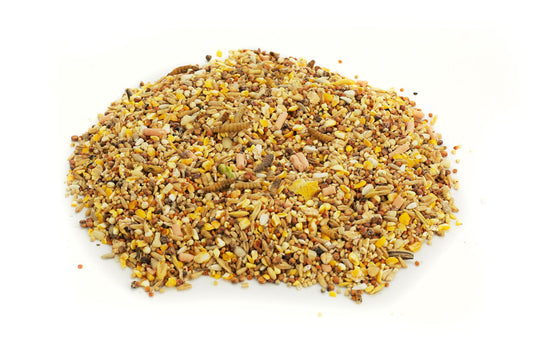 Chubby Robin & Songbird Wild Bird Seed Mix 12.6Kg
