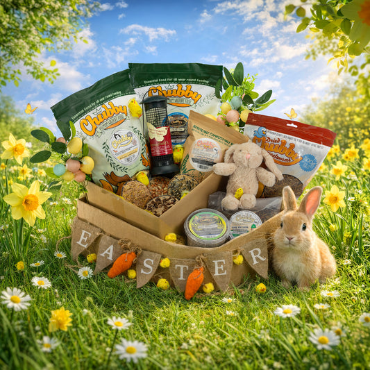 Hop Into Spring Gift Box 🐣🌼
