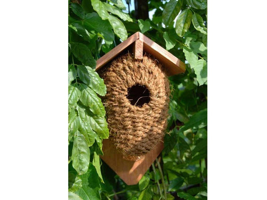 Fallen Fruits Coconut Fibre Nesting Box for Small Birds
