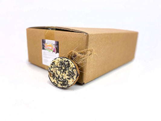 Box of 30 - Chubby Half Filled Coconuts - Sunflower Seed Topped
