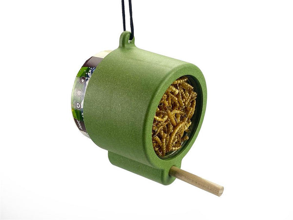 Walter Harrison's Recycled Peanut Butter Feeder