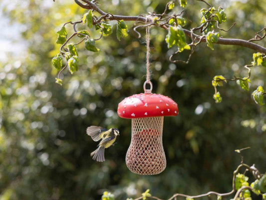 Fallen Fruits Fly Agarric Mushroom Mesh Feeder for Seeds, Insects & Peanuts