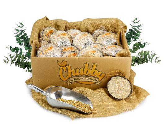 Box of 30 Chubby Half Filled Coconuts - Original Flavour